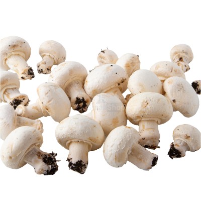 Шампиньоны свежие 500 г - купить в Каюмово